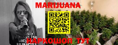 стафф Гусев