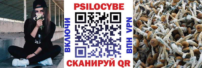 Галлюциногенные грибы Psilocybine cubensis  хочу наркоту  Карталы 