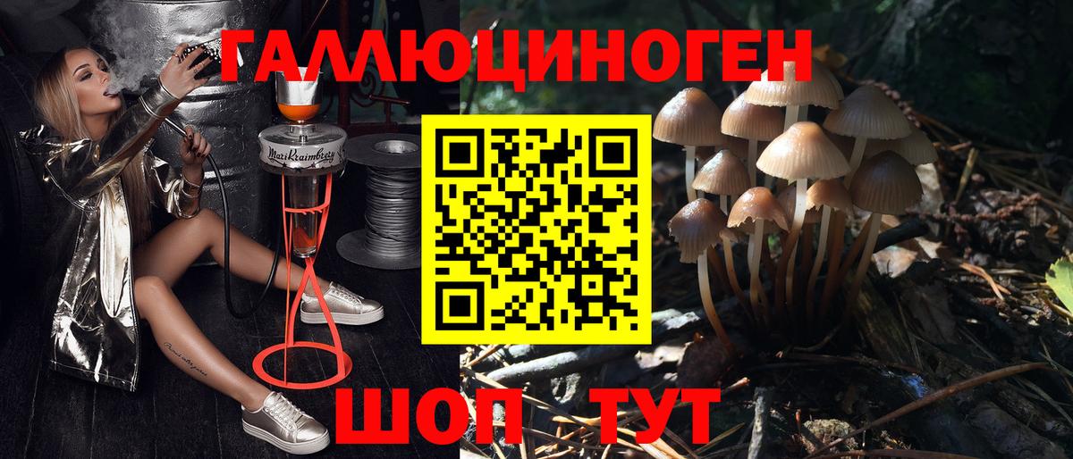 Псилоцибиновые грибы Cubensis Карталы