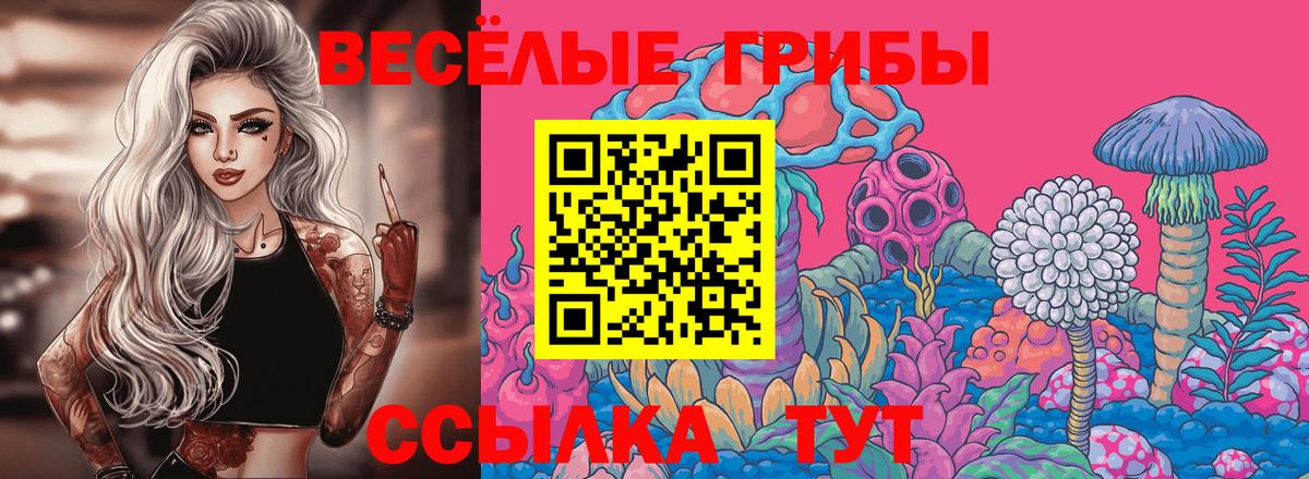 Псилоцибиновые грибы Psilocybe  Вход с VPN  Карталы 